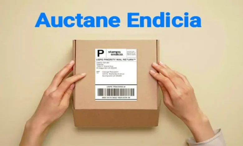 auctane endicia